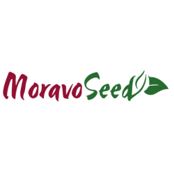 MORAVO SEED